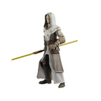Immagine del prodotto Star Wars: The Clone Wars Black Series action figure Jedi Temple Guard 15 cm