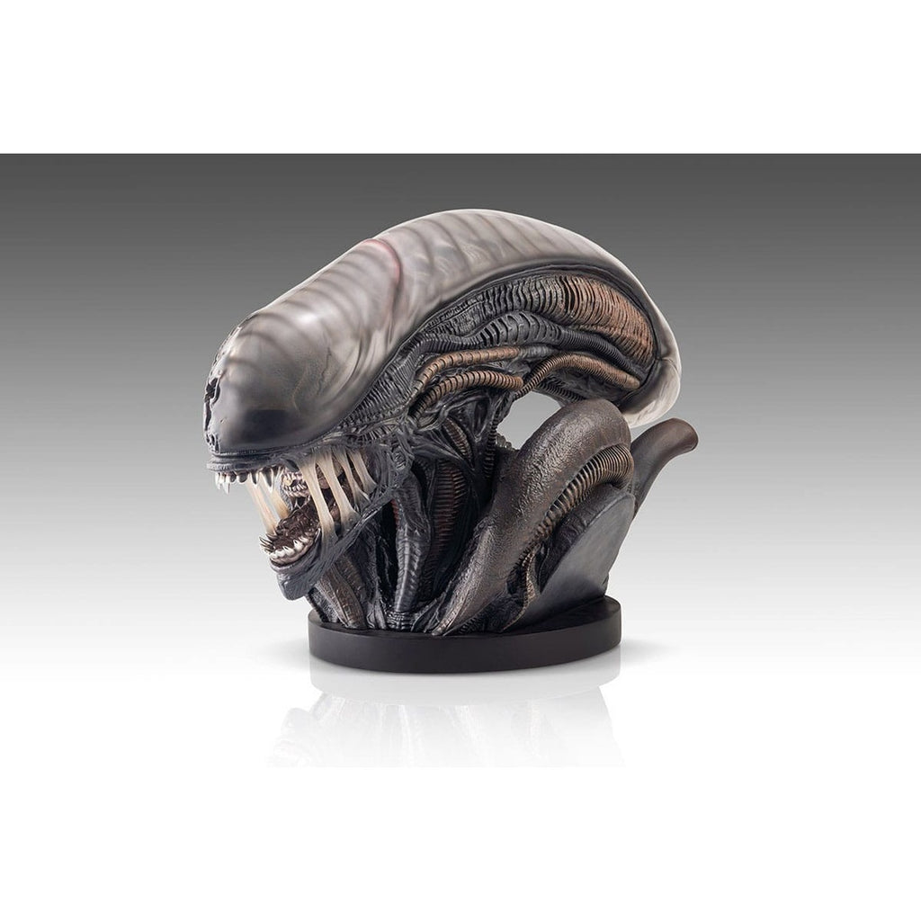Immagine del prodotto Alien Romulus Busto 1/1 Xenomorph 53 cm