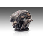 Immagine del prodotto Alien Romulus Busto 1/1 Xenomorph 53 cm