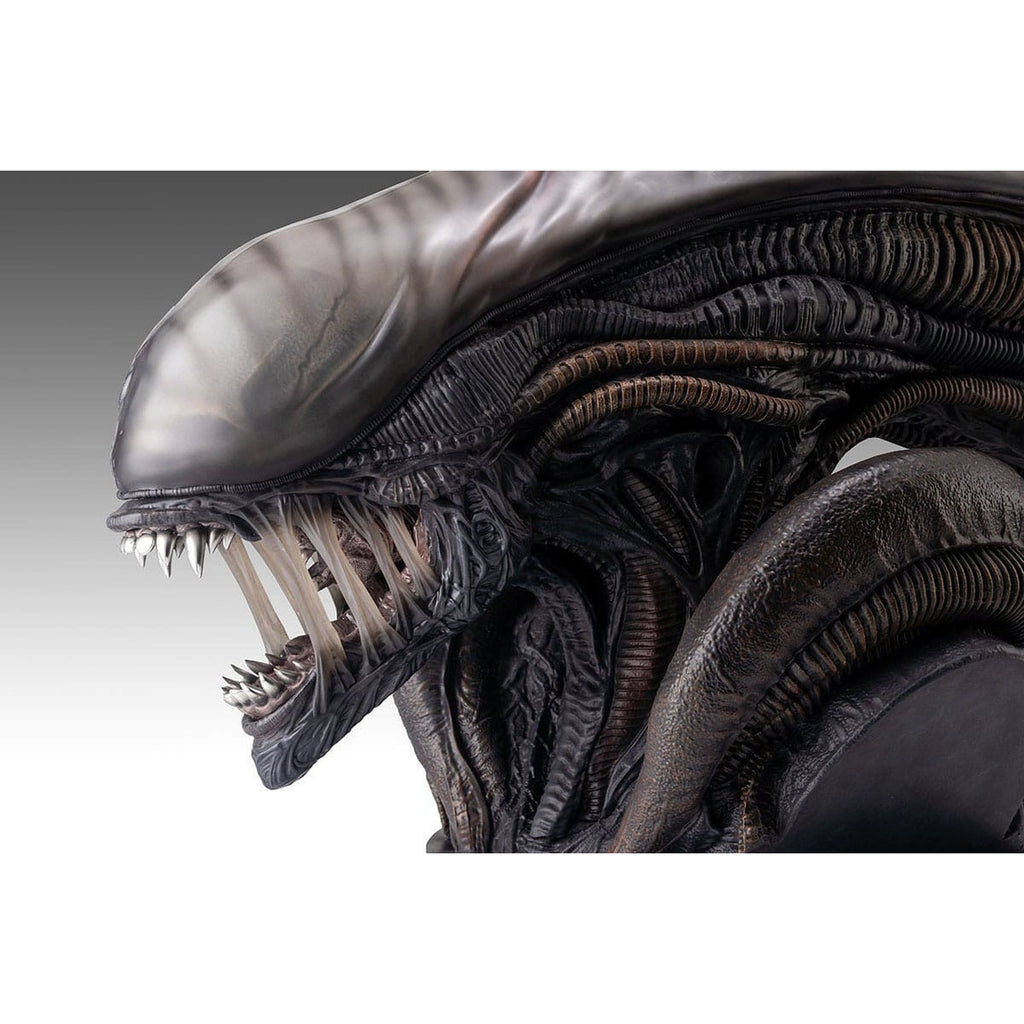 Immagine del prodotto Alien Romulus Busto 1/1 Xenomorph 53 cm