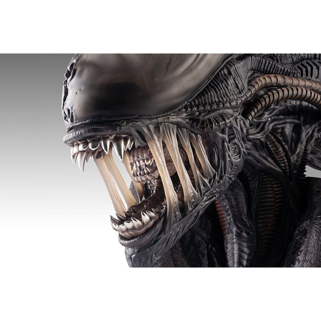 Immagine del prodotto Alien Romulus Busto 1/1 Xenomorph 53 cm