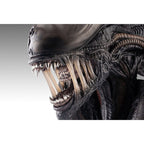 Immagine del prodotto Alien Romulus Busto 1/1 Xenomorph 53 cm