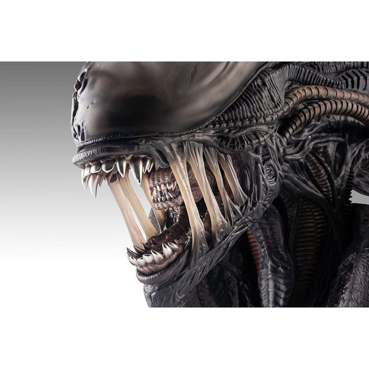 Immagine del prodotto Alien Romulus Busto 1/1 Xenomorph 53 cm