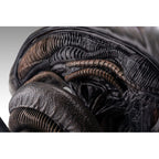 Immagine del prodotto Alien Romulus Busto 1/1 Xenomorph 53 cm