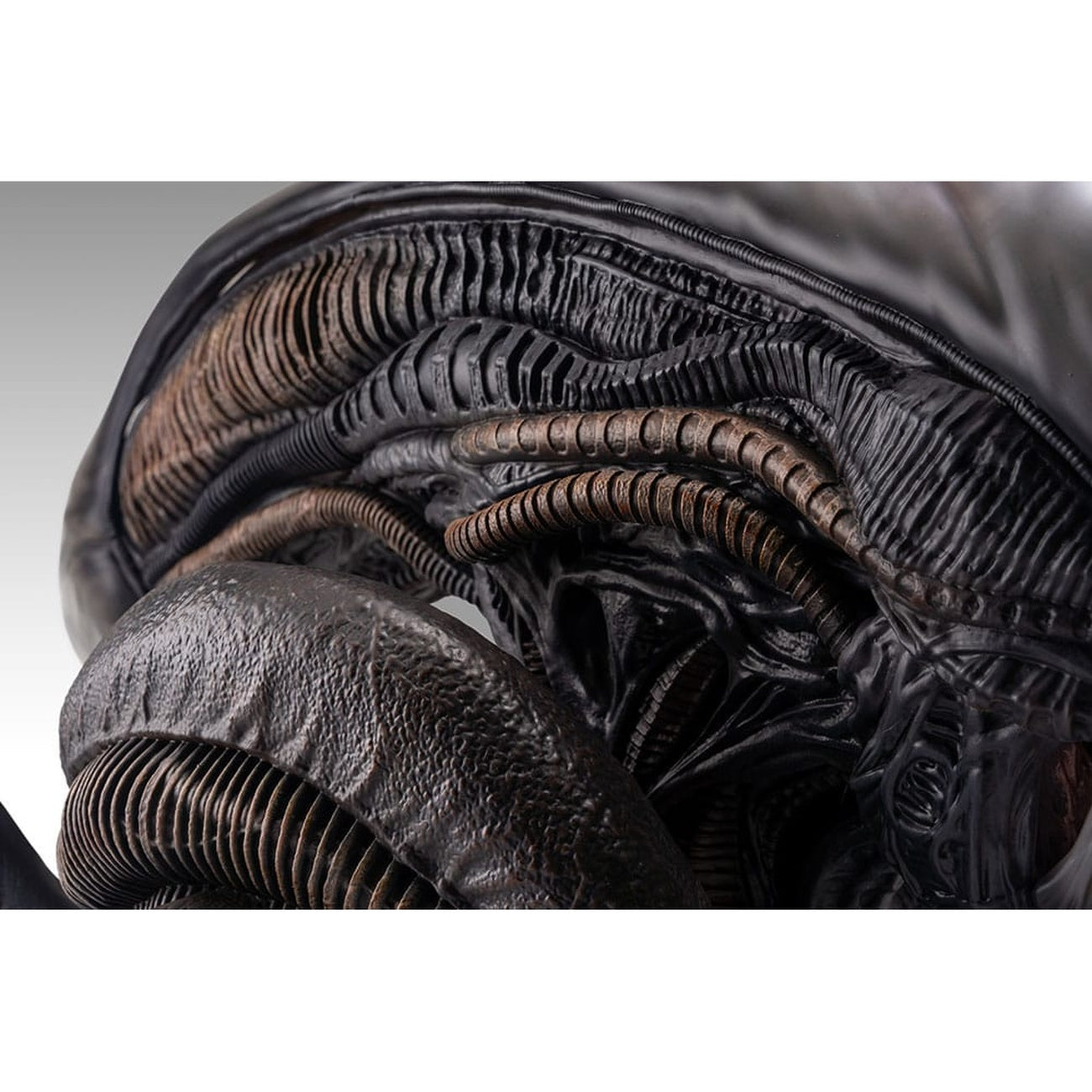 Immagine del prodotto Alien Romulus Busto 1/1 Xenomorph 53 cm