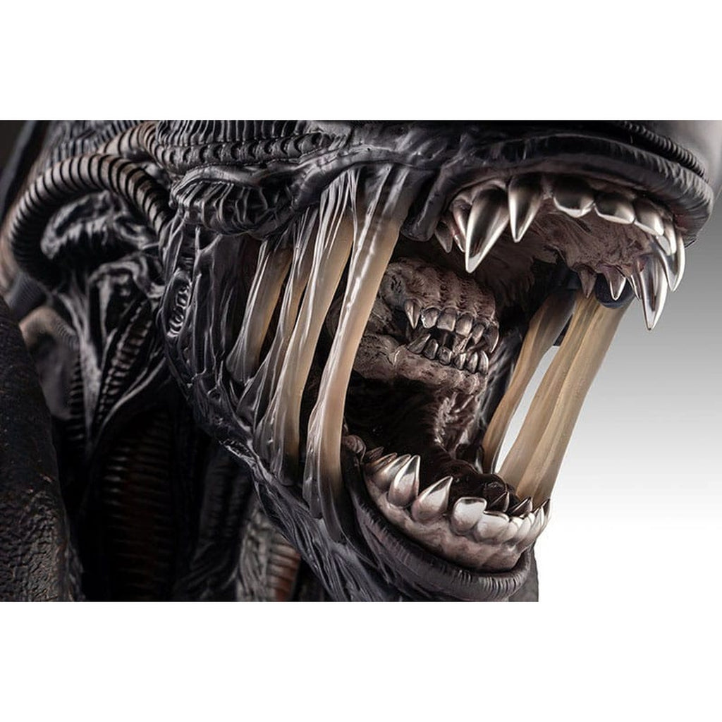 Immagine del prodotto Alien Romulus Busto 1/1 Xenomorph 53 cm