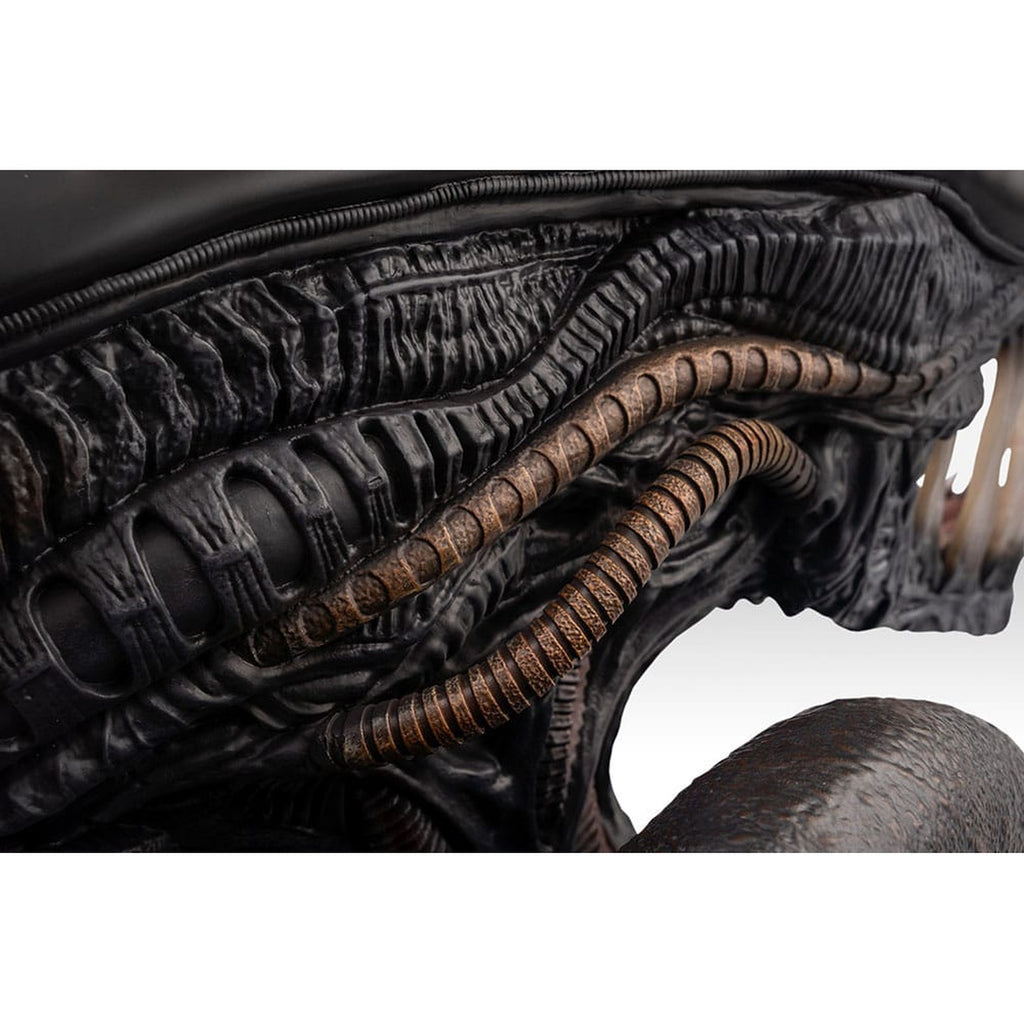 Immagine del prodotto Alien Romulus Busto 1/1 Xenomorph 53 cm