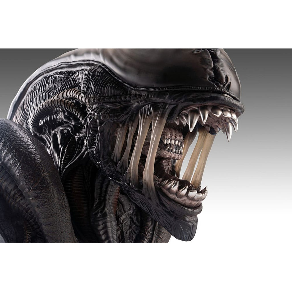 Immagine del prodotto Alien Romulus Busto 1/1 Xenomorph 53 cm