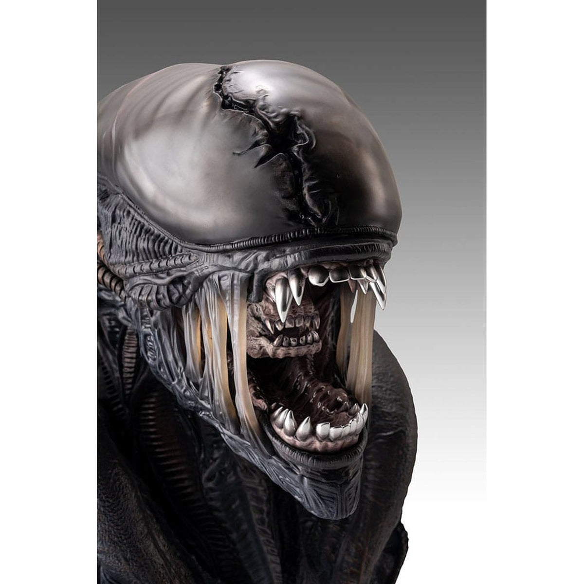 Immagine del prodotto Alien Romulus Busto 1/1 Xenomorph 53 cm