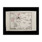 Immagine del prodotto Lo Hobbit Strofinaccio Mappa di Thorin 72 cm