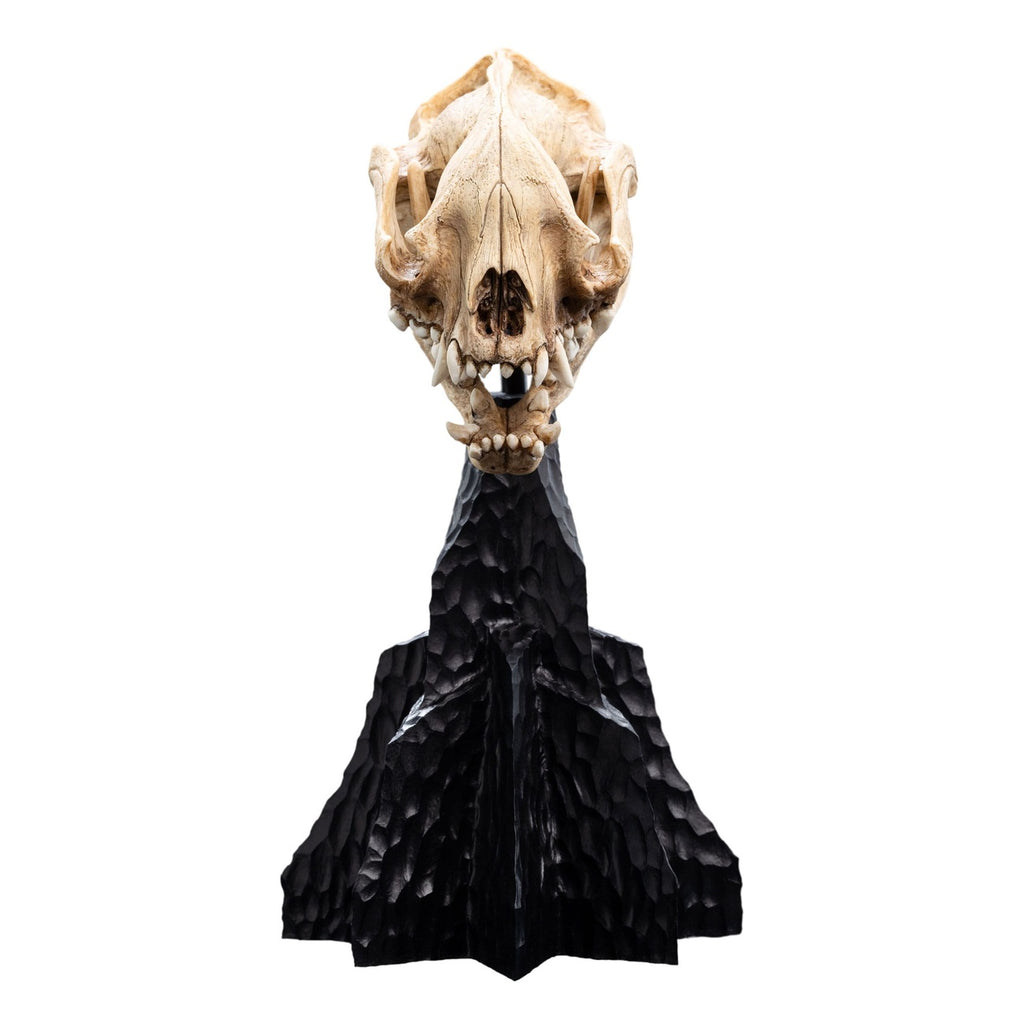 Immagine del prodotto Il Signore degli Anelli Mini statua Skull of a Warg 20 cm