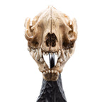 Immagine del prodotto Il Signore degli Anelli Mini statua Skull of a Warg 20 cm
