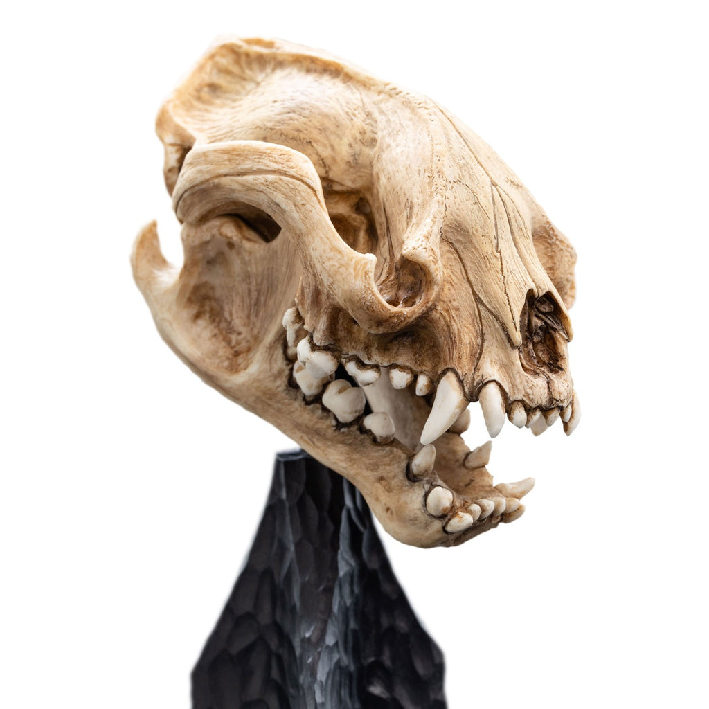 Immagine del prodotto Il Signore degli Anelli Mini statua Skull of a Warg 20 cm