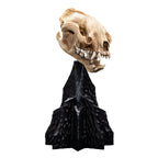 Immagine del prodotto Il Signore degli Anelli Mini statua Skull of a Warg 20 cm