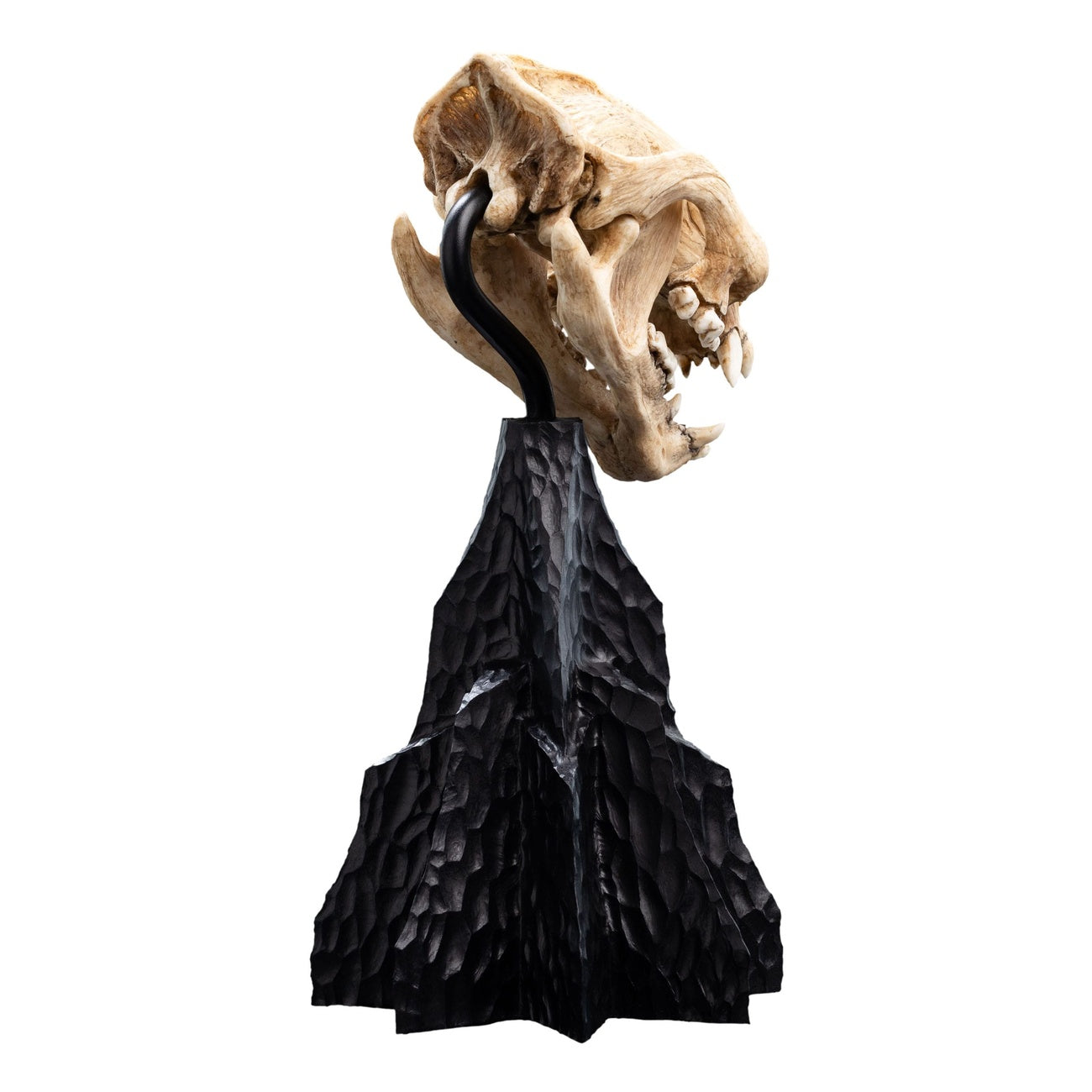 Immagine del prodotto Il Signore degli Anelli Mini statua Skull of a Warg 20 cm