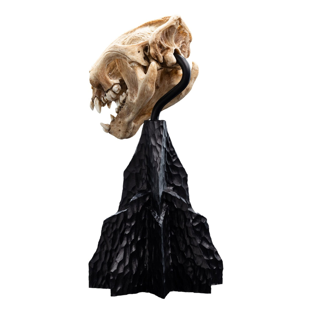 Immagine del prodotto Il Signore degli Anelli Mini statua Skull of a Warg 20 cm