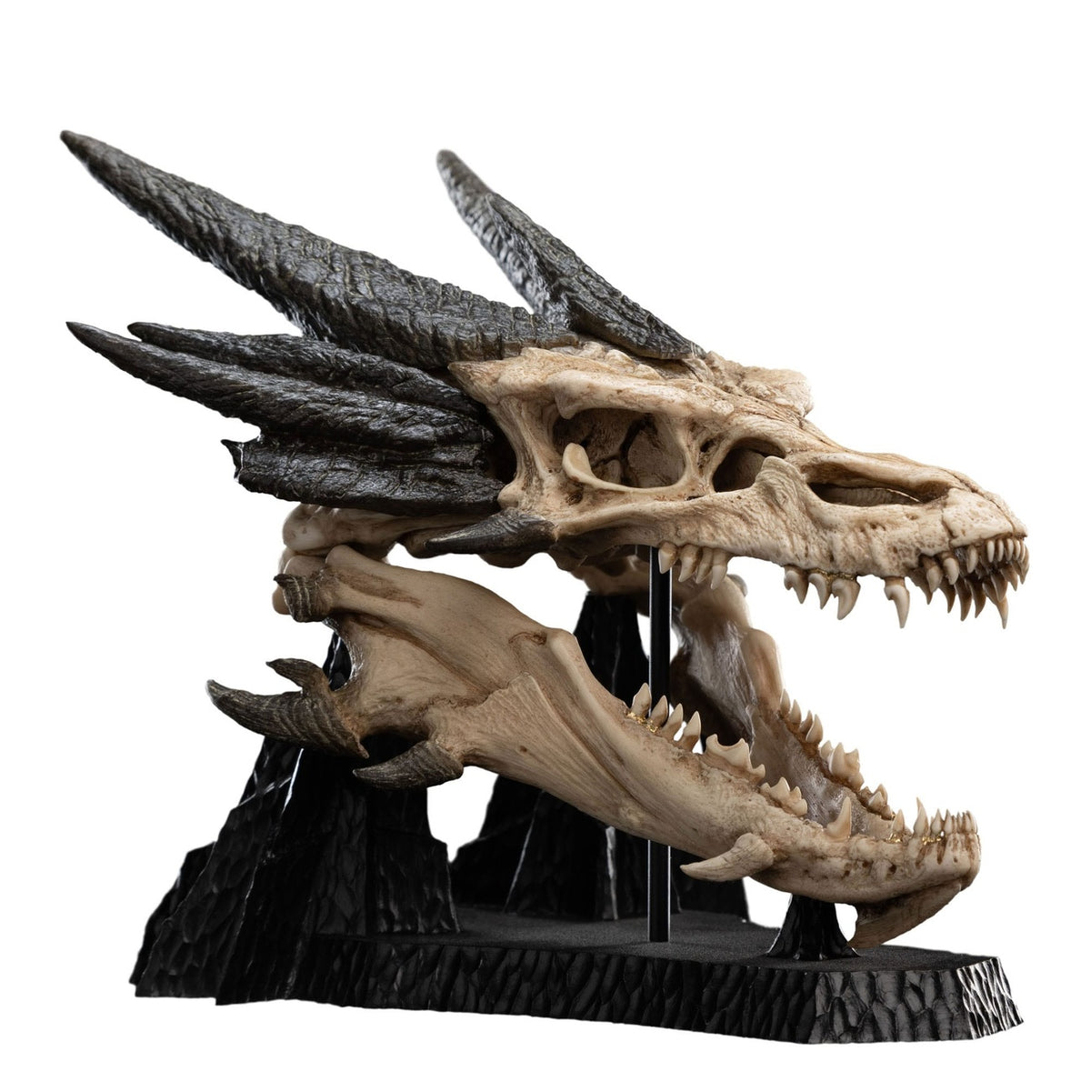 Immagine del prodotto Il Signore degli Anelli Mini statua Skull of Smaug 22 cm