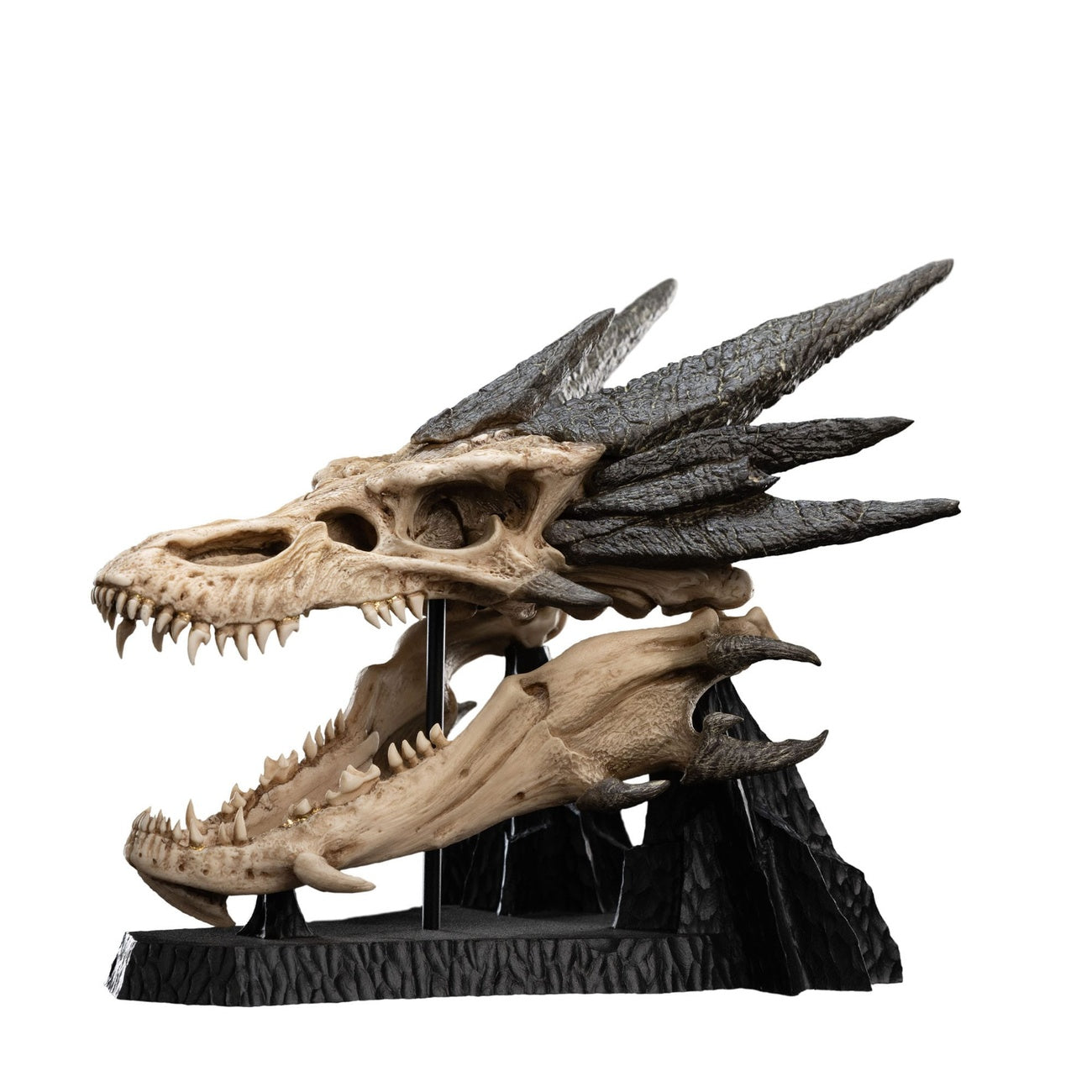 Immagine del prodotto Il Signore degli Anelli Mini statua Skull of Smaug 22 cm