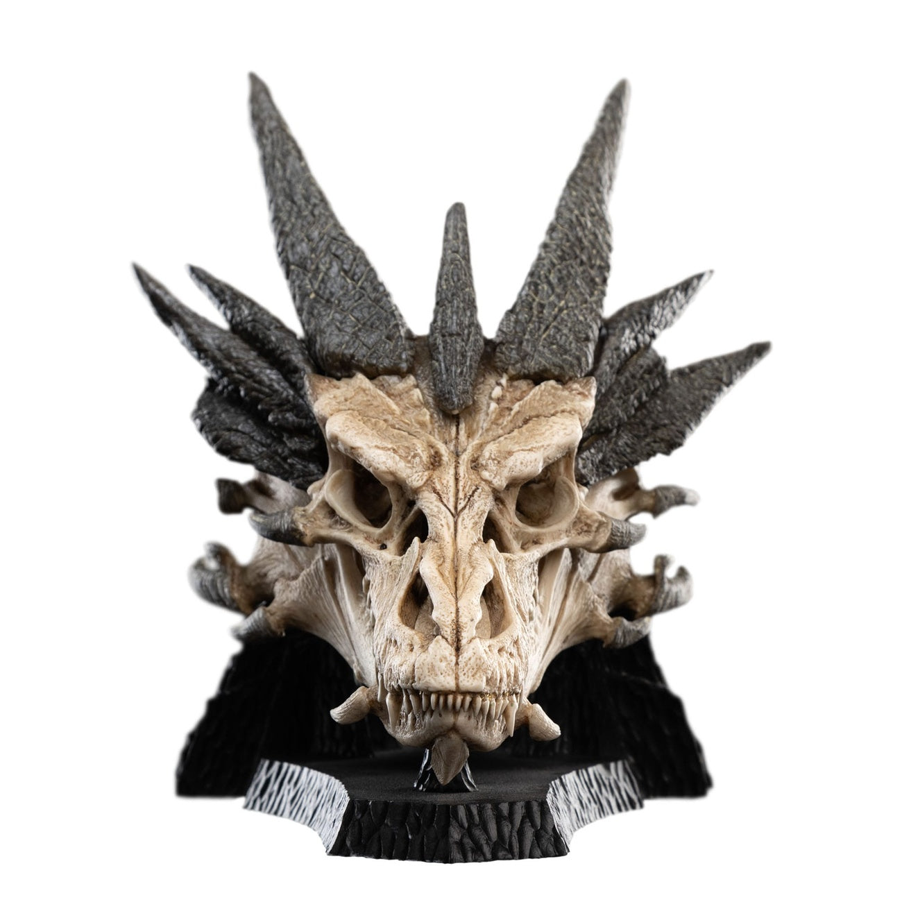 Immagine del prodotto Il Signore degli Anelli Mini statua Skull of Smaug 22 cm
