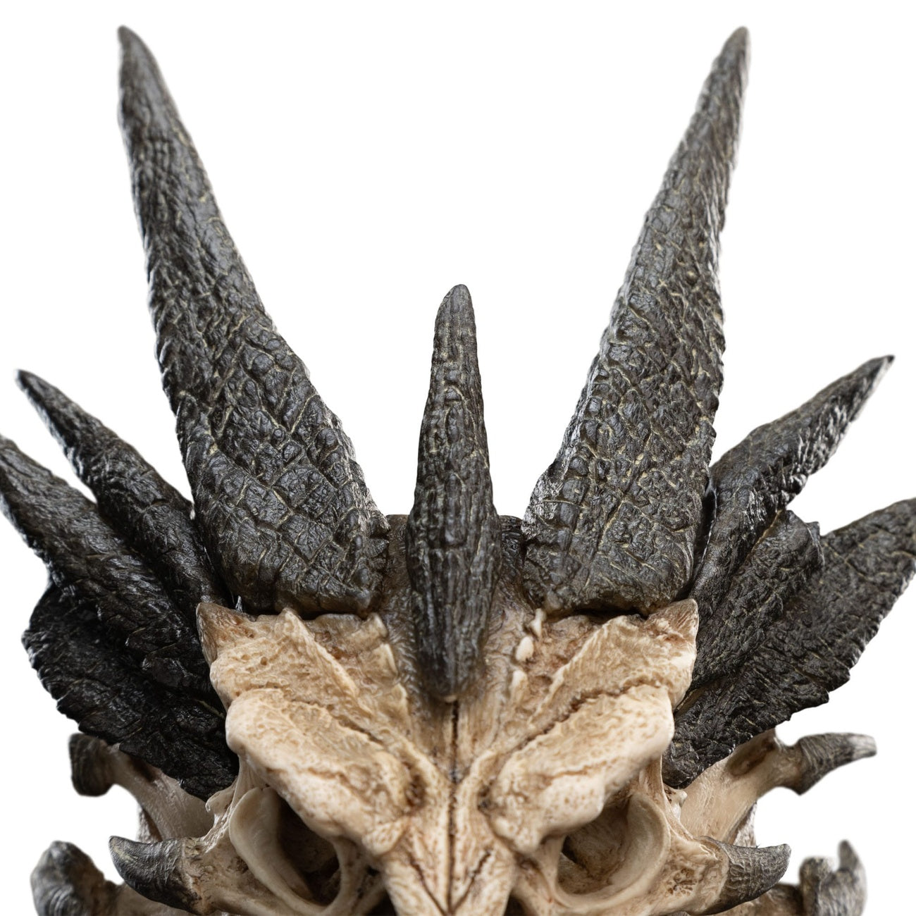 Immagine del prodotto Il Signore degli Anelli Mini statua Skull of Smaug 22 cm