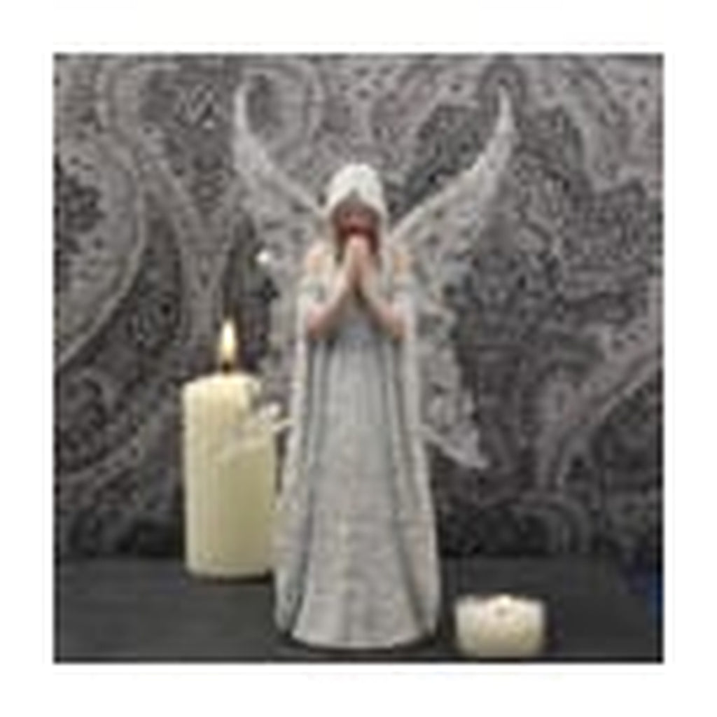Product image Anne Stokes Statue Only Love Remains 26 cm