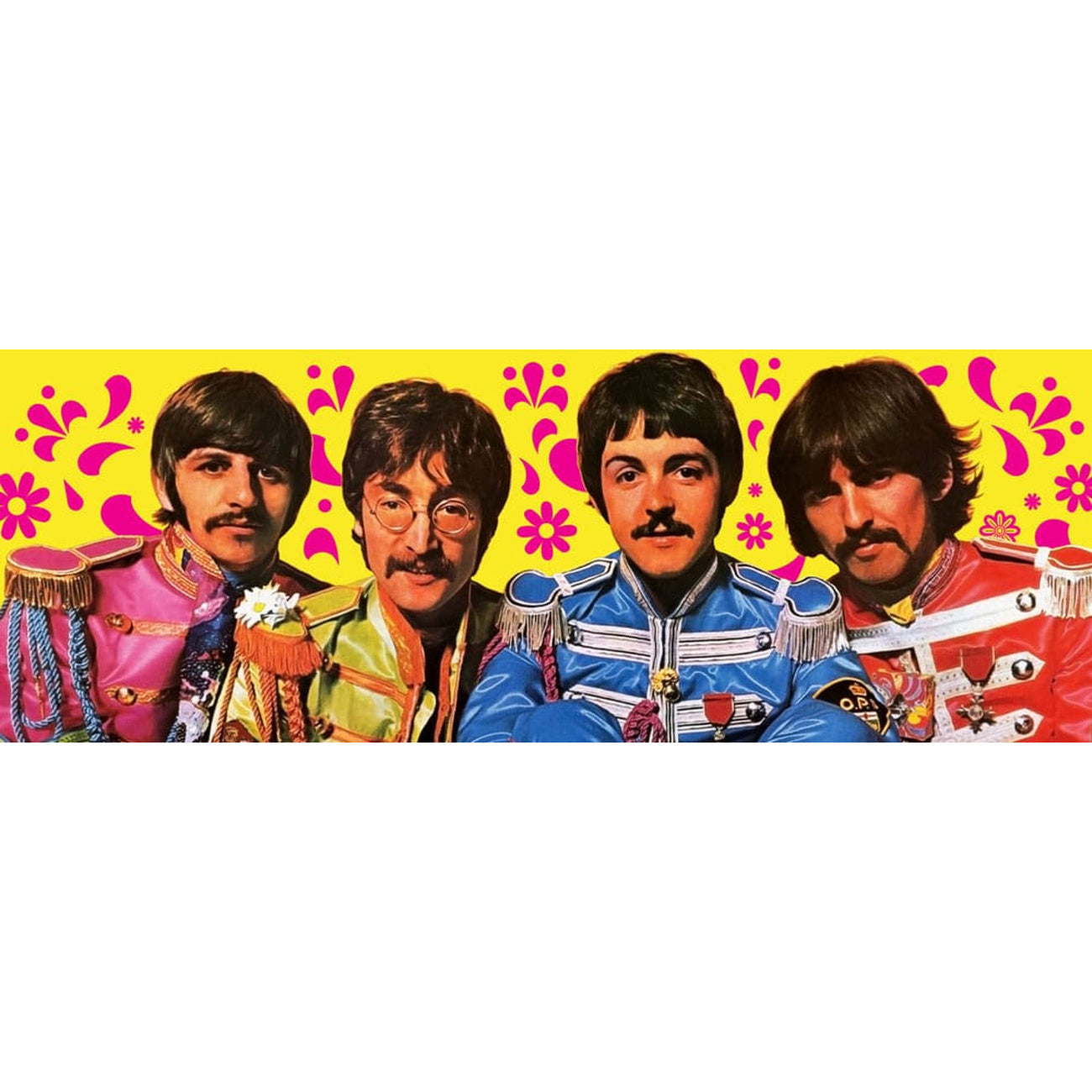Immagine del prodotto The Beatles Carte da gioco Green Version