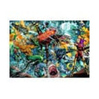 Immagine del prodotto Puzzle DC Comics Aquaman (1000 pezzi)