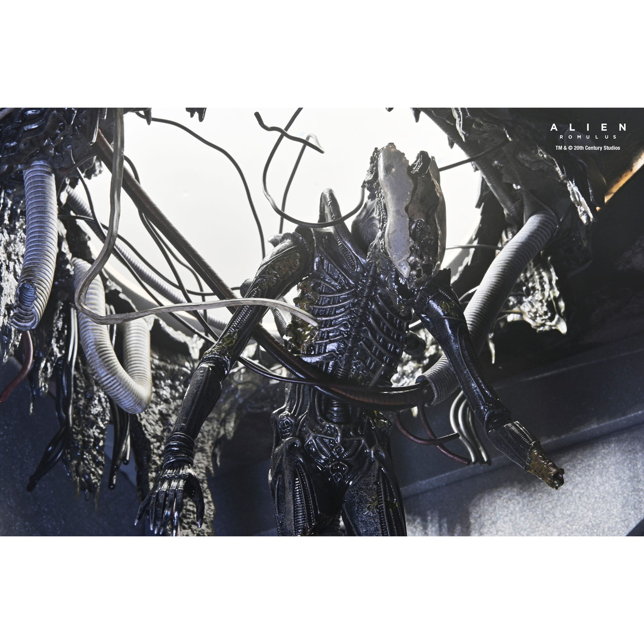 Immagine del prodotto Alien: Romulus Action Figure Deluxe Suspended Lab Xenomorph