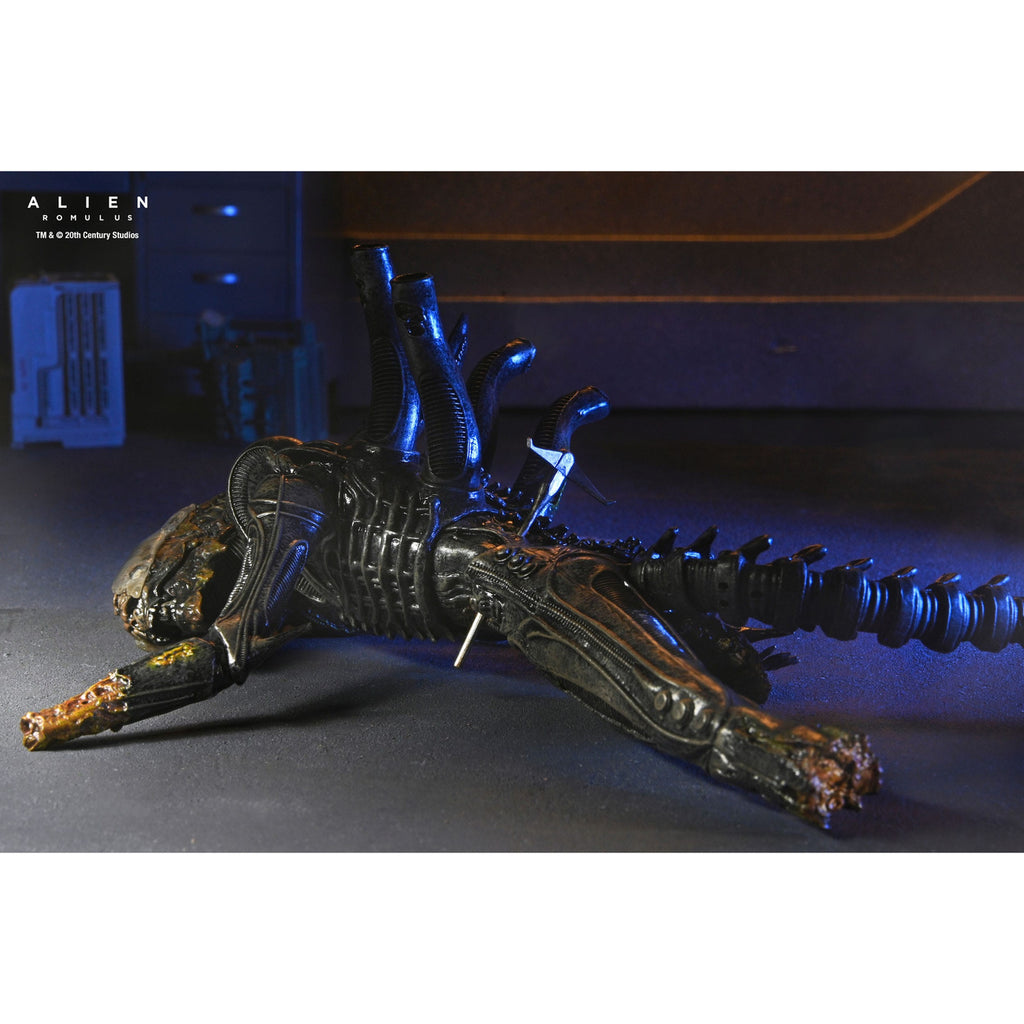 Immagine del prodotto Alien: Romulus Action Figure Deluxe Suspended Lab Xenomorph