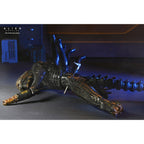 Immagine del prodotto Alien: Romulus Action Figure Deluxe Suspended Lab Xenomorph