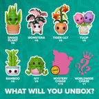 Immagine del prodotto Kawaii Flora - Piante Mystery Minis figure Funko Pop